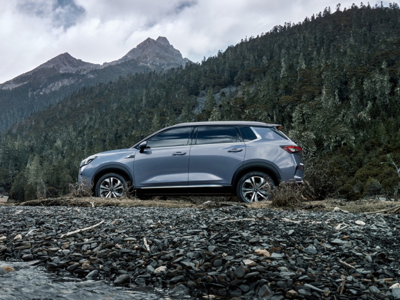 五菱星辰 2022款 2.0L DHT电劲款